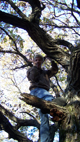 Alex in a tree