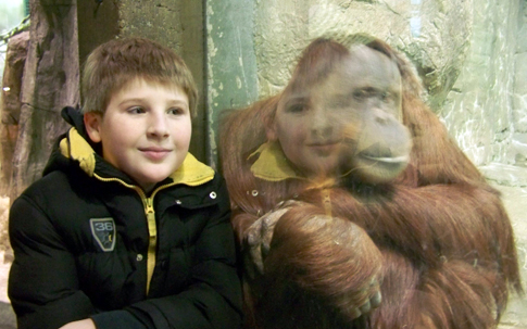 Corbin and an ape