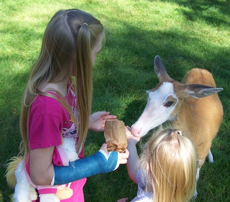 Nora and Anna feeding some deer