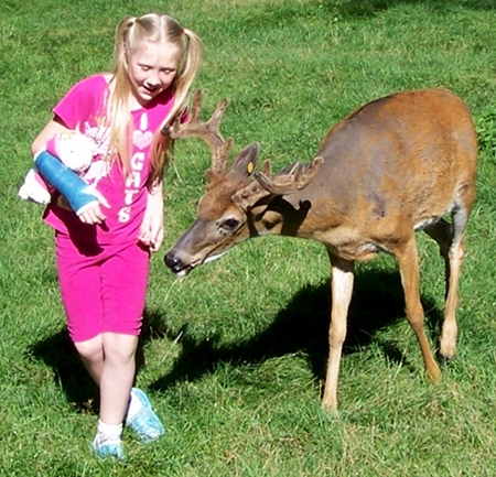 a deer nudging Nora