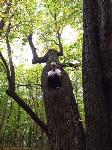 Alex in a tree