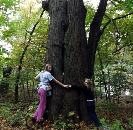 Nora and Rosa with a two huge trees