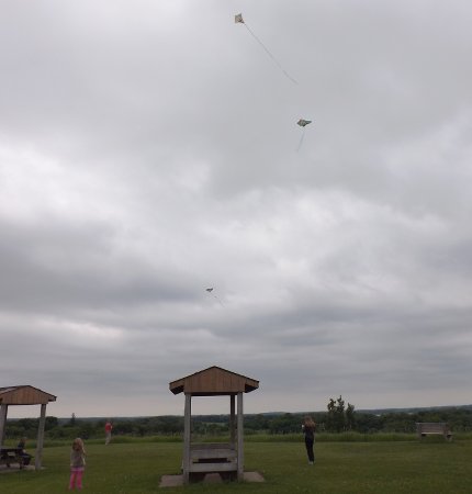 three kites flying