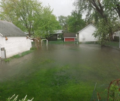 our flooded backyard