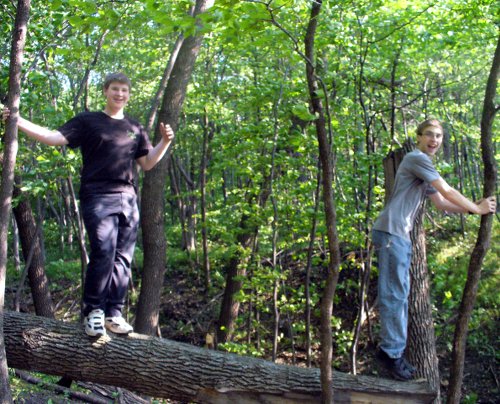 Caleb and Corbin on a fallen tree