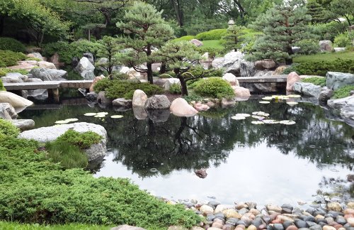 another view of the garden's pond