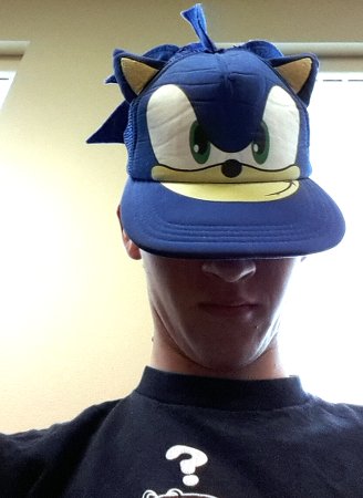 as Sonic the Hedgehog