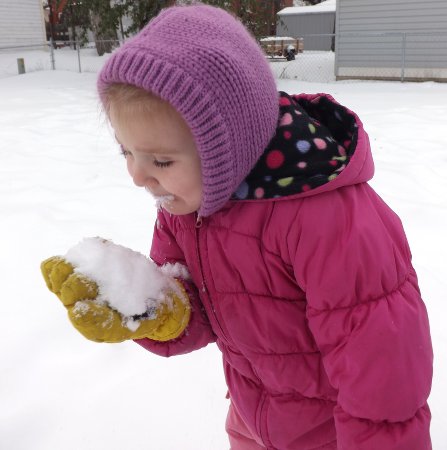 Ella eating snow