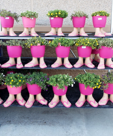 flowers potted in feet shaped pots