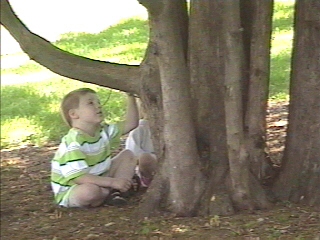 Corbin under a tree with a stick