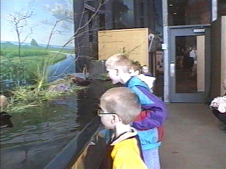 The kids admiring the ducks and fish