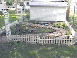 back view of garden