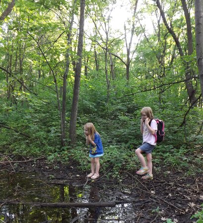 Ella and Anna watching frogs near a swampy pond