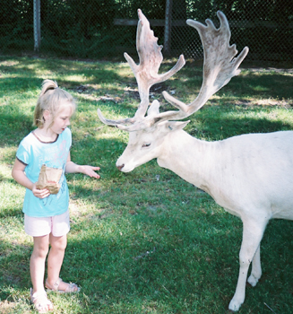 Nora feeding a deer.
