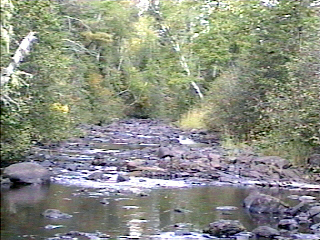 another shot of the creek