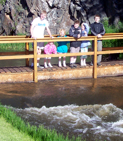 the kids on a bridge over the stream