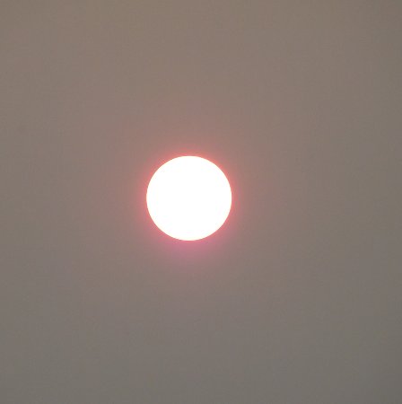 the smokey sun